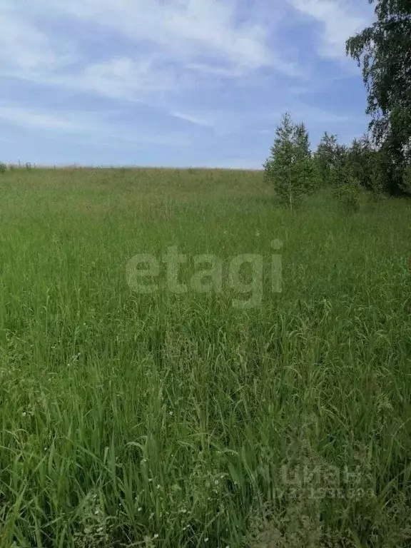 Участок в Новосибирская область, Новосибирский район, Морской ... - Фото 0