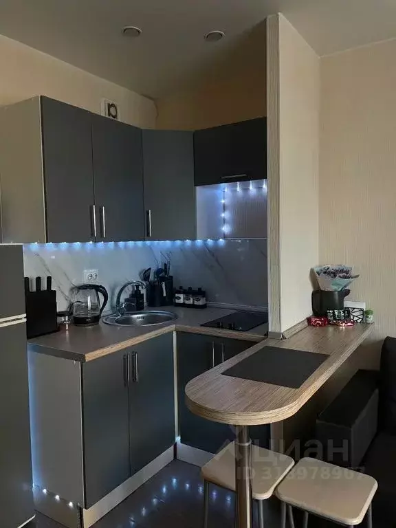Студия Санкт-Петербург ул. Шкапина, 9-11 (26.0 м) - Фото 0