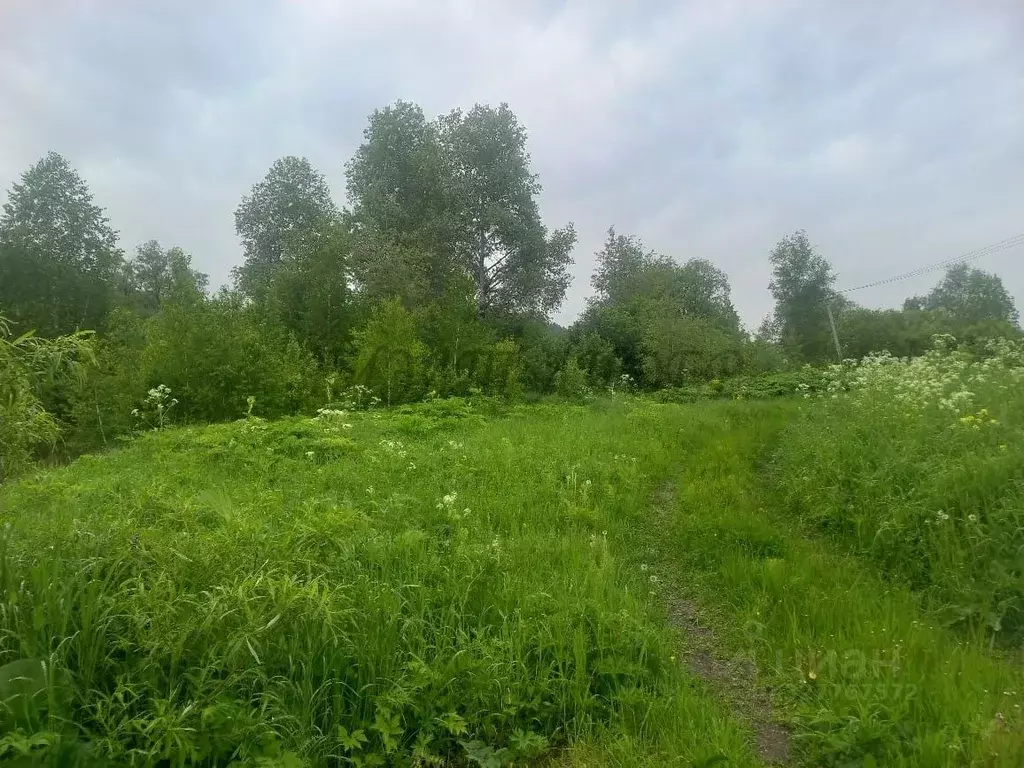Участок в Алтай, Майминский район, Поселок филиал  (65.38 сот.) - Фото 2