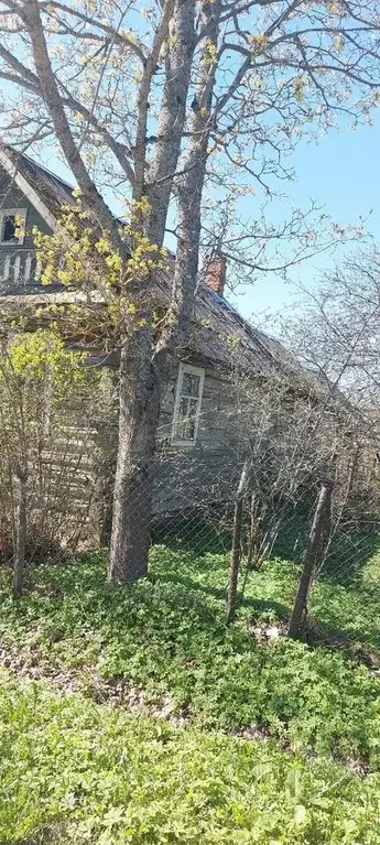 Дом 46 м на участке 19 сот. - Фото 1