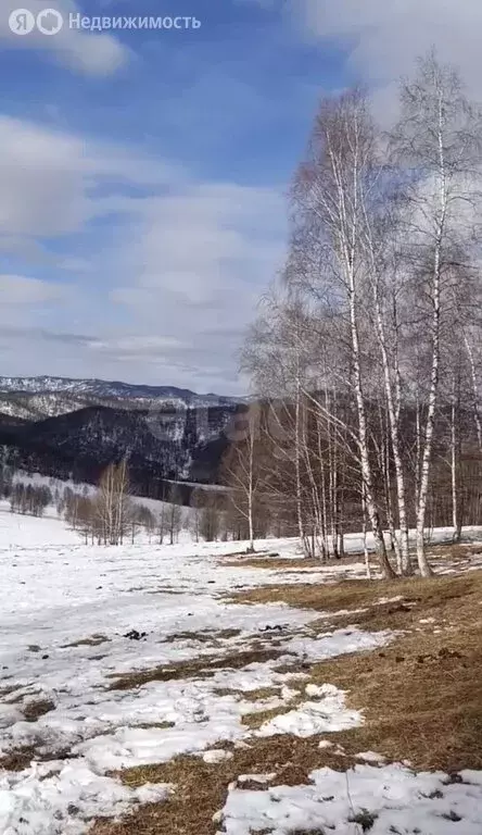 Участок в Чемальский район, Чемальский тракт (250 м) - Фото 1