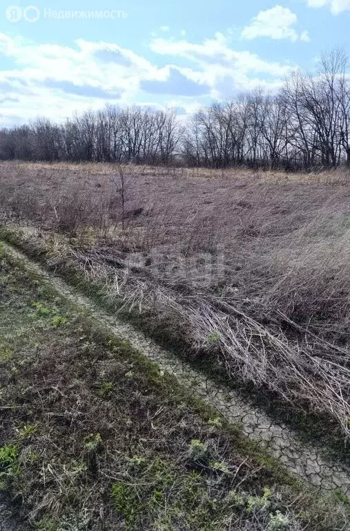 Участок в Республика Мордовия, городской округ Саранск, посёлок ... - Фото 0