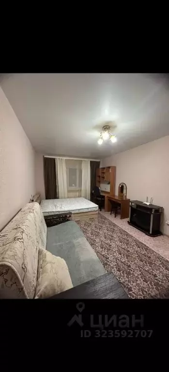 1-к кв. Воронежская область, Воронеж Московский просп., 215 (38.0 м) - Фото 0