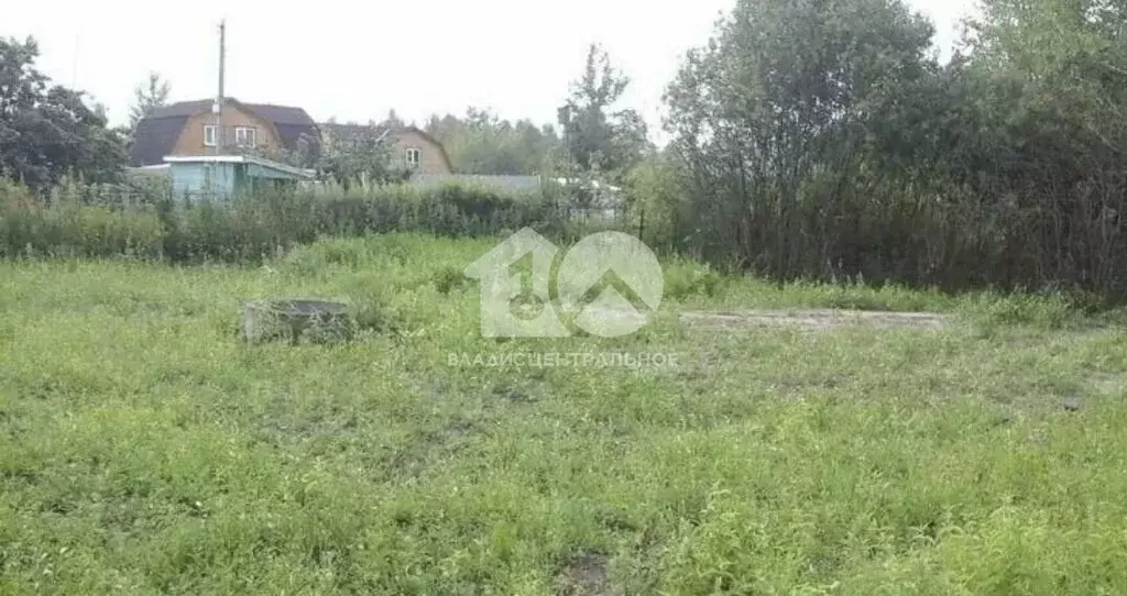 Участок в Мошковский район, НСТ Ромашка-1 (607 м) - Фото 1