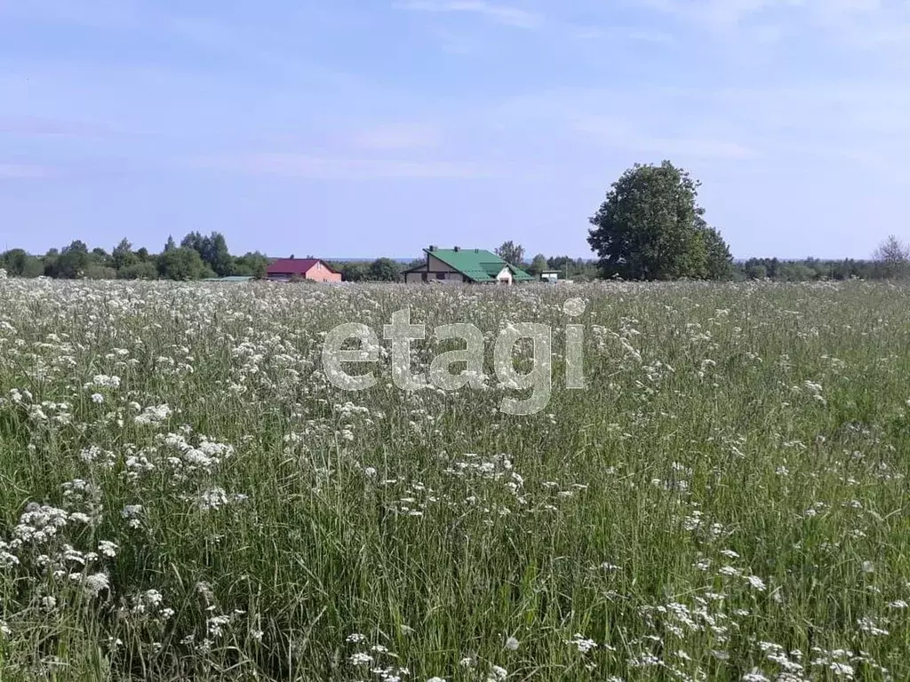 Участок в Вологодская область, д. Кольцеево  (20.0 сот.) - Фото 2