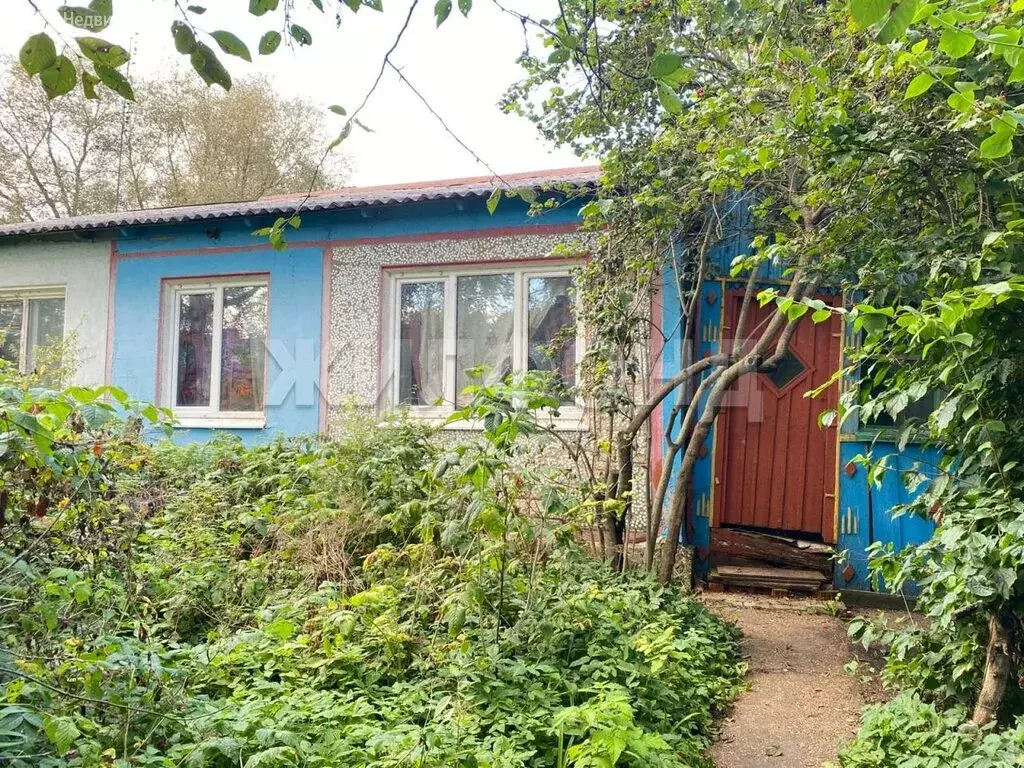Дом в Красный Богатырь, Берёзовая улица (60.1 м) - Фото 0