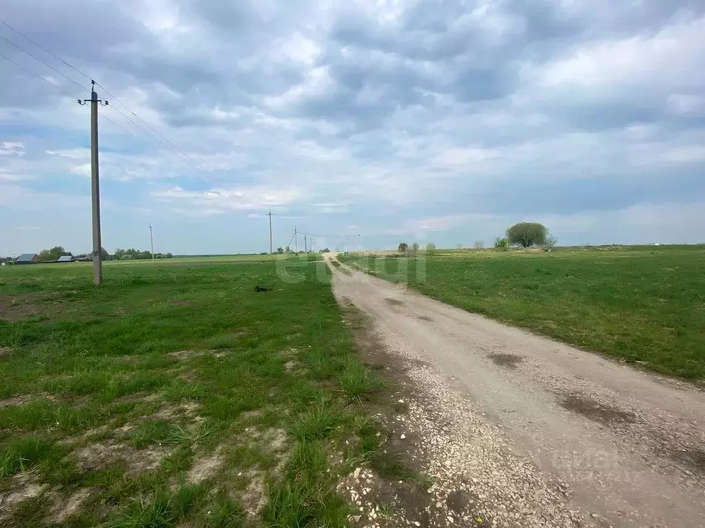 Участок в Брянская область, Жирятинское с/пос, с. Страшевичи  (24.5 ... - Фото 1