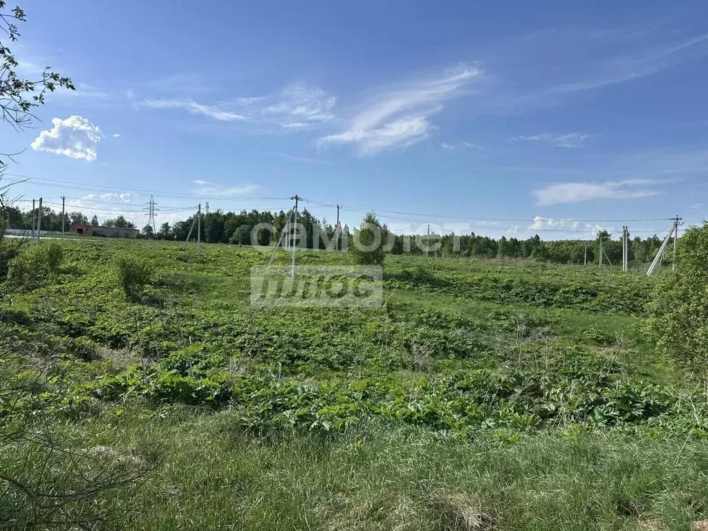 Участок в Тульская область, Тула городской округ, д. Ивановка  (15.0 ... - Фото 1