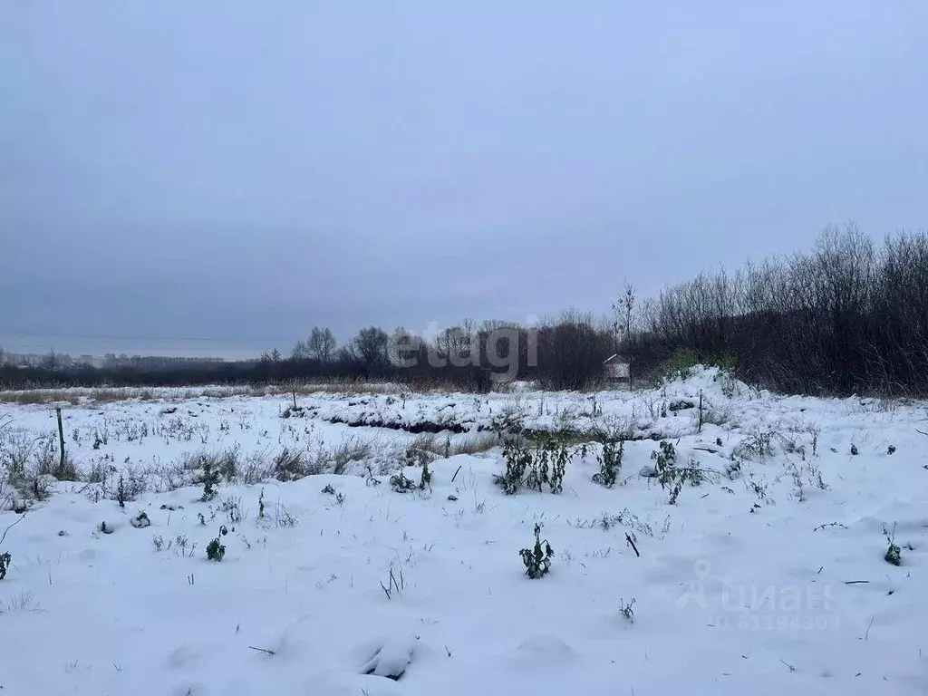 Участок в Мордовия, Саранск Восток садоводческое товарищество,  (4.8 ... - Фото 1