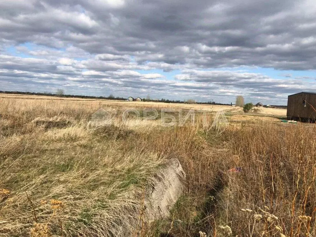 Участок в Тюменская область, Тюменский муниципальный округ, Пятница ... - Фото 2