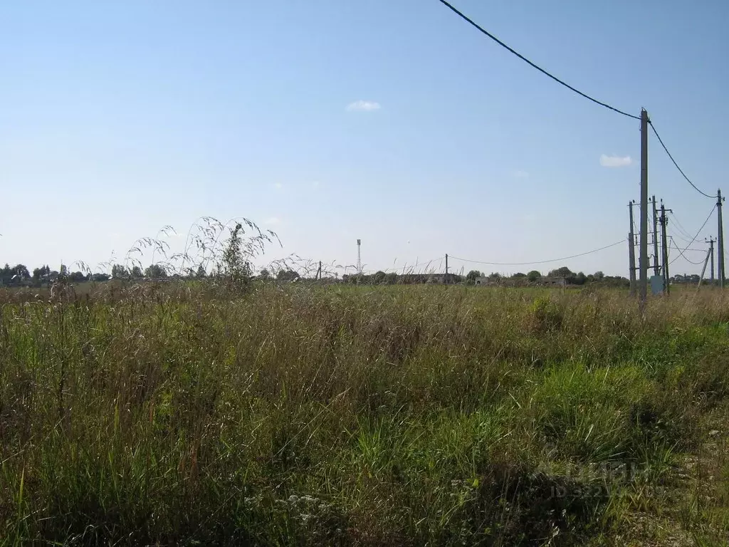 Участок в Ленинградская область, Ломоносовский район, Гостилицкое ... - Фото 2