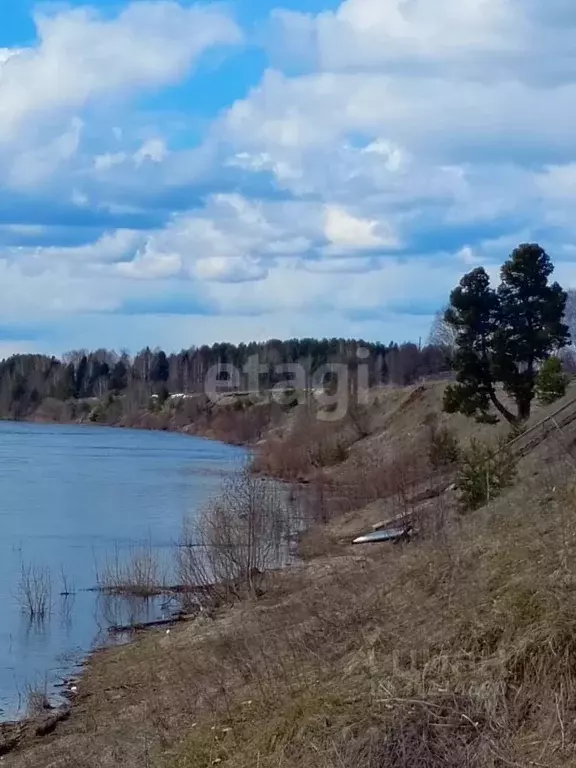 Участок в Коми, Корткеросский район, с. Вомын 265 (40.2 сот.) - Фото 0