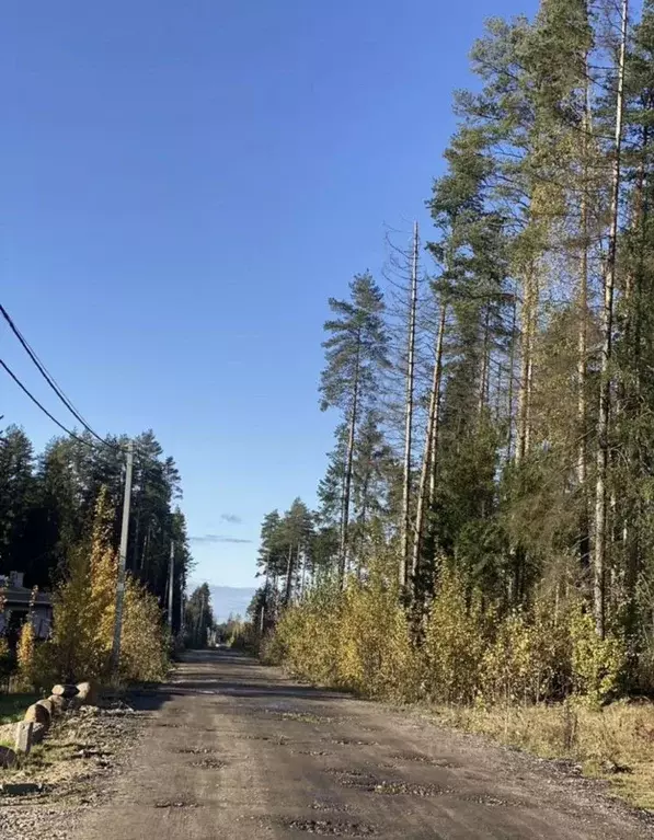 Участок в Ленинградская область, Всеволожский район, Сертоловское ... - Фото 1