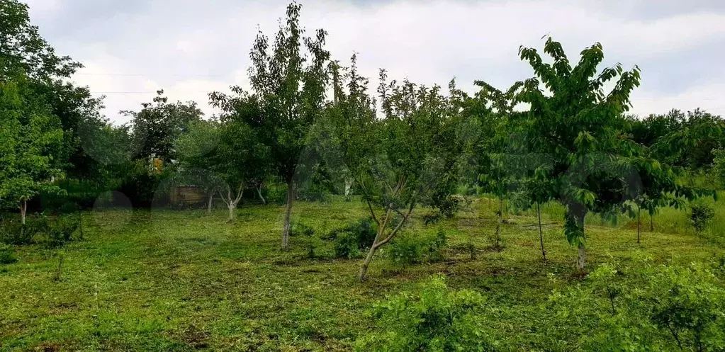 авито дружба земельные участки