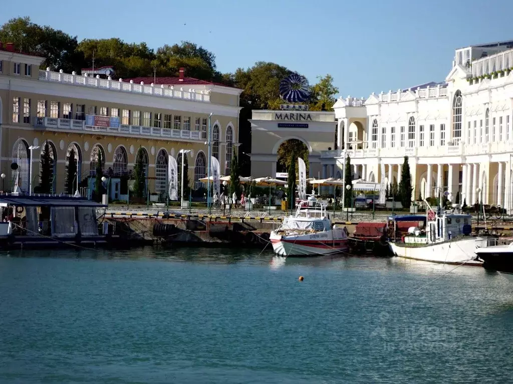 Торговая площадь в Краснодарский край, Сочи Центральный мкр, ул. ... - Фото 2