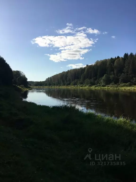 Участок в Тверская область, Ржевский муниципальный округ, д. Соломино  ... - Фото 1