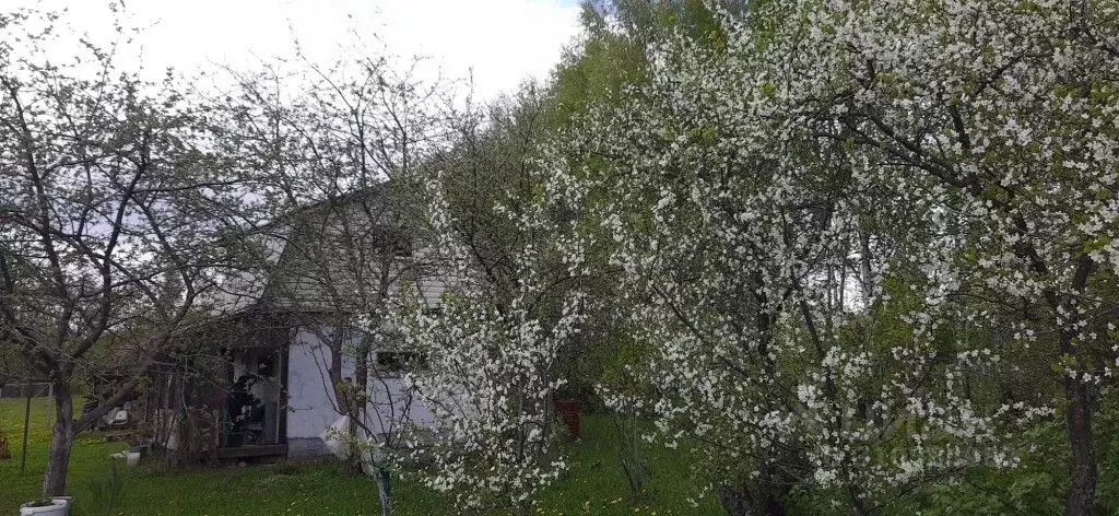 Дом в Владимирская область, Суздальский район, Новоалександровское ... - Фото 0