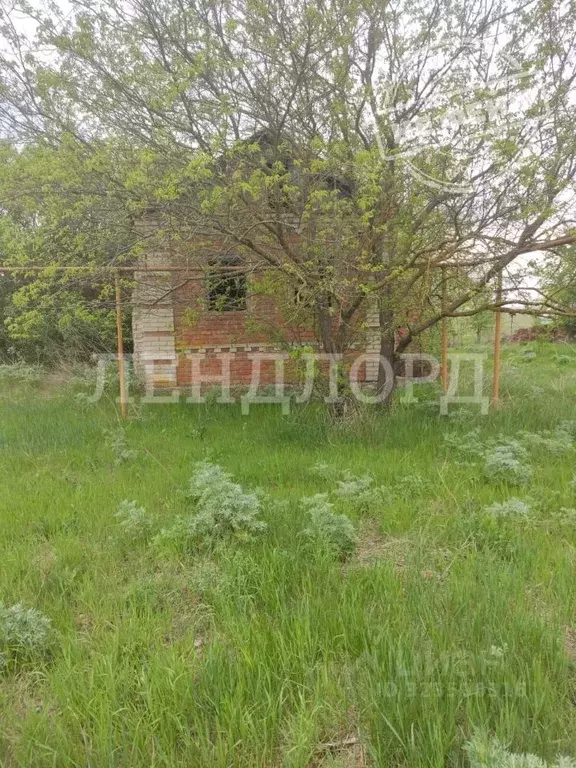 Дом в Ростовская область, Октябрьский район, Кривянское с/пос, ... - Фото 0