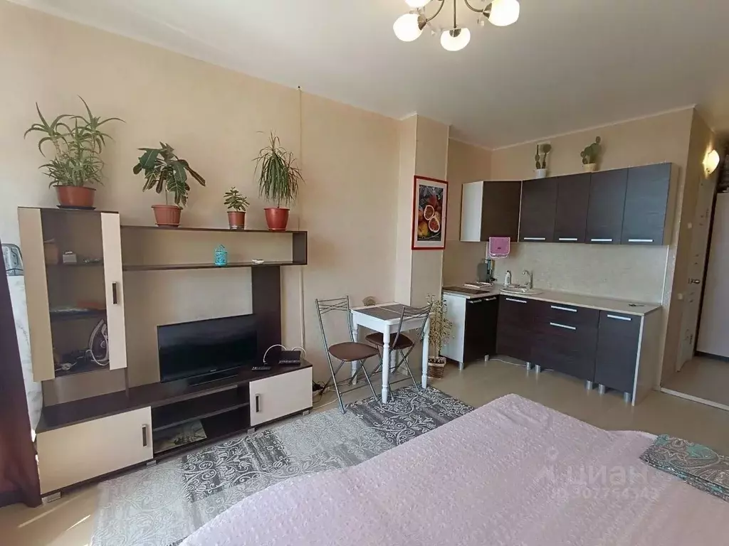 Студия Краснодарский край, Сочи Светлана мкр, ул. Лысая Гора, 27/16 ... - Фото 1