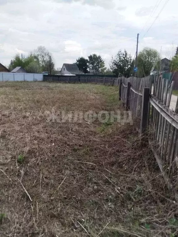 Участок в Новосибирская область, Колыванский район, Черемушки СНТ  ... - Фото 2