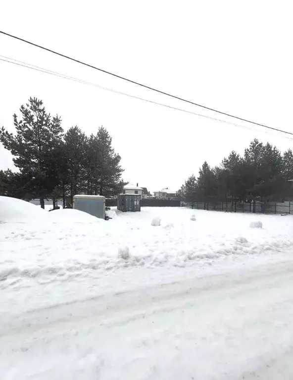 Участок в Воронежская область, Рамонский район, Айдаровское с/пос, с. ... - Фото 1