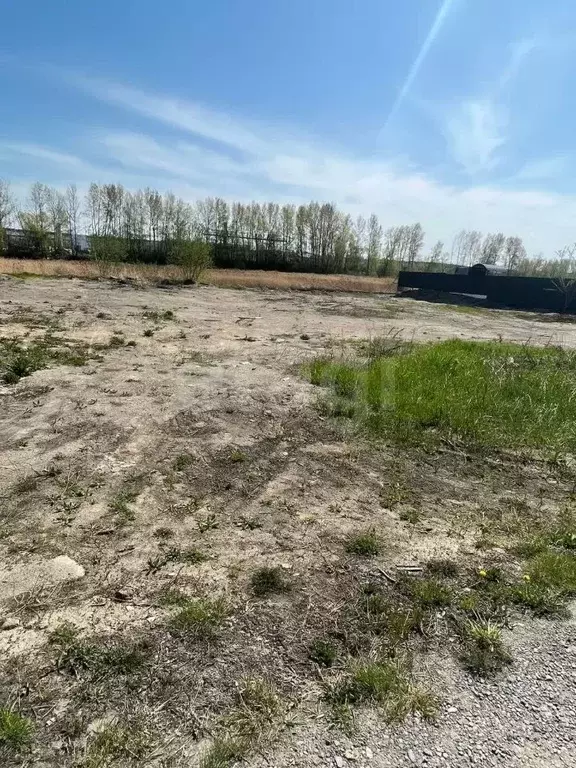 Участок в Новосибирская область, Новосибирск Геофизик СНТ,  (10.0 ... - Фото 1
