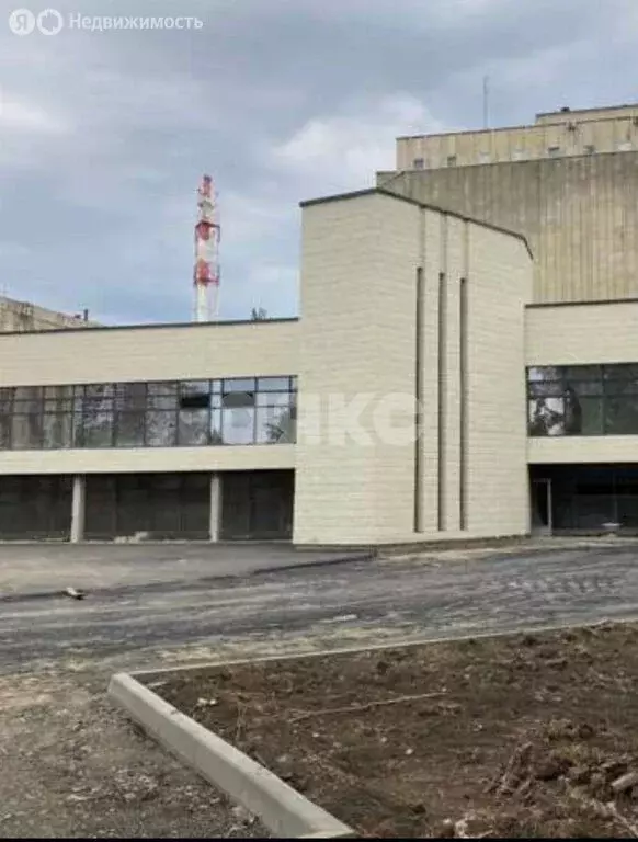 Помещение свободного назначения (484.5 м) - Фото 2