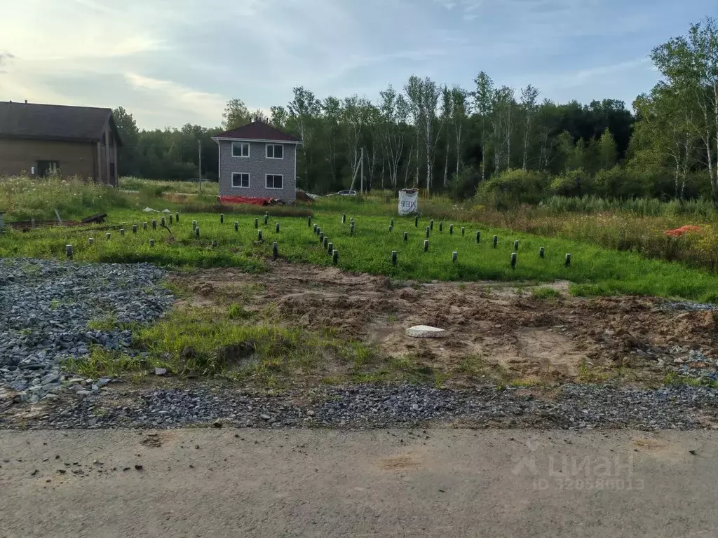 Участок в Новосибирская область, Новосибирский район, Каменский ... - Фото 1