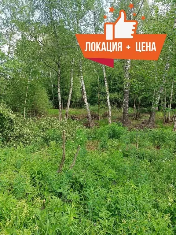 Участок в Московская область, Мытищи городской округ, д. Долгиниха ул. ... - Фото 0