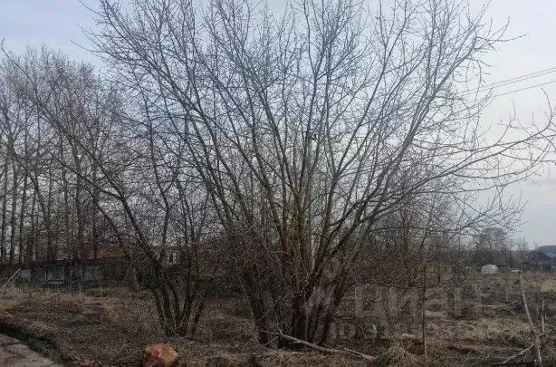 Участок в Московская область, Дмитровский муниципальный округ, д. ... - Фото 0