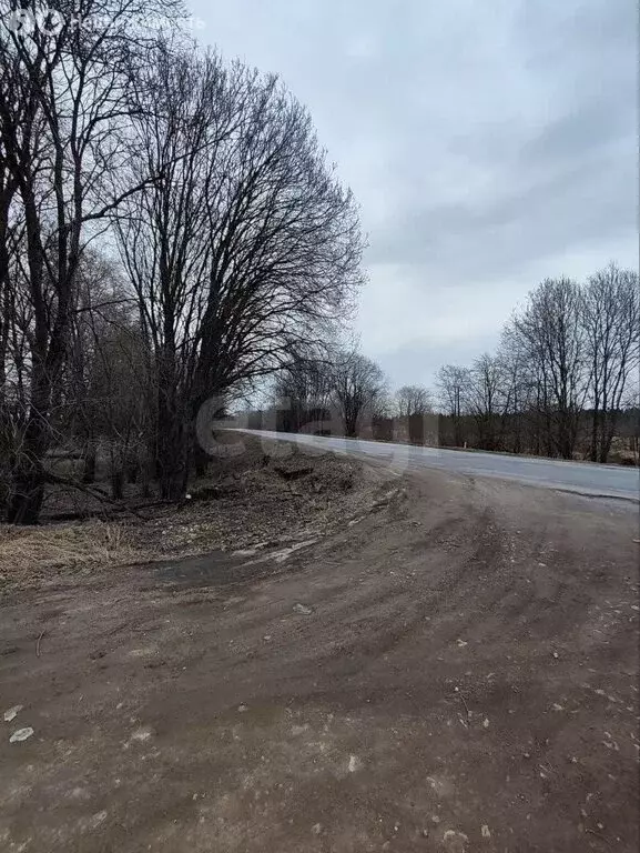 Участок в Копорское сельское поселение, деревня Широково (20.6 м) - Фото 2