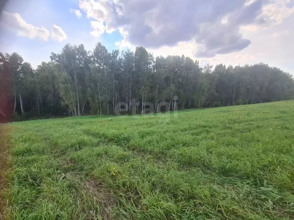 Участок в Новосибирская область, Новосибирский район, Станционный ... - Фото 1