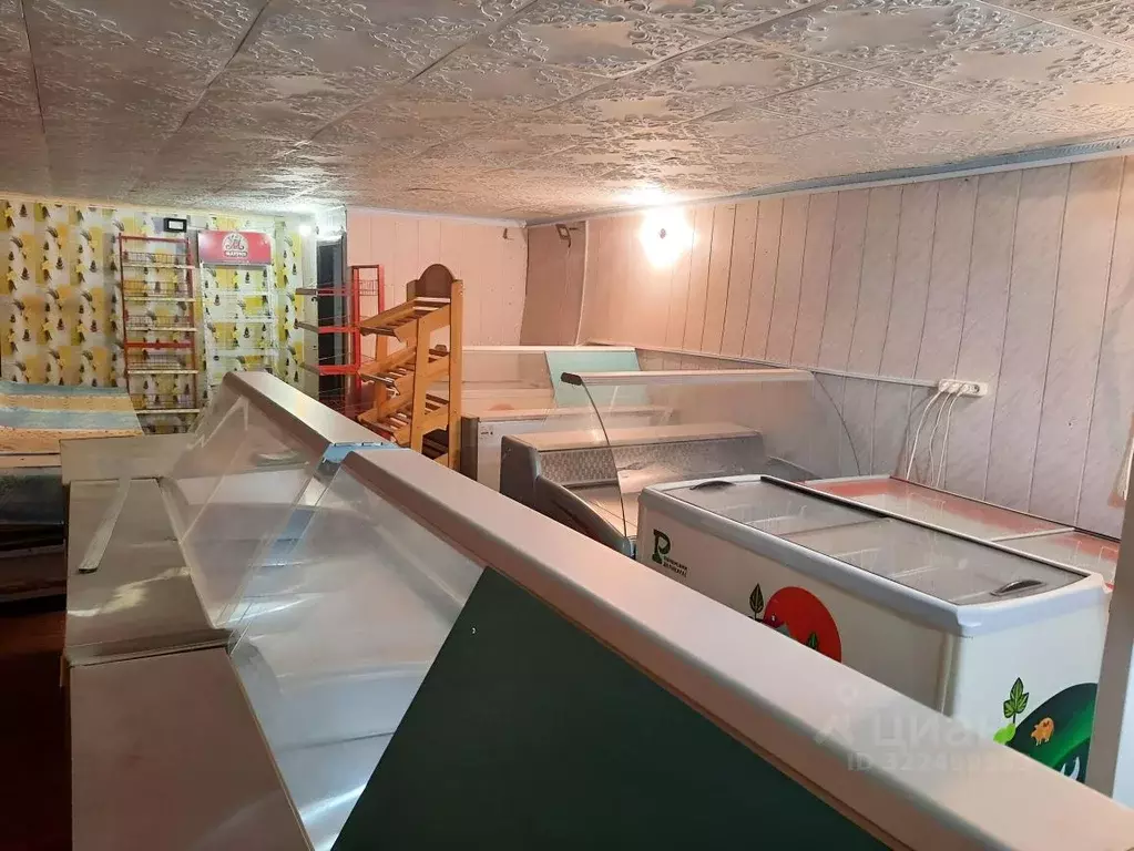 Помещение свободного назначения в Саратовская область, Саратов ул. ... - Фото 2