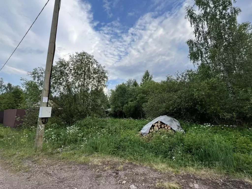 Участок в Ленинградская область, Выборгский район, Каменногорское ... - Фото 0