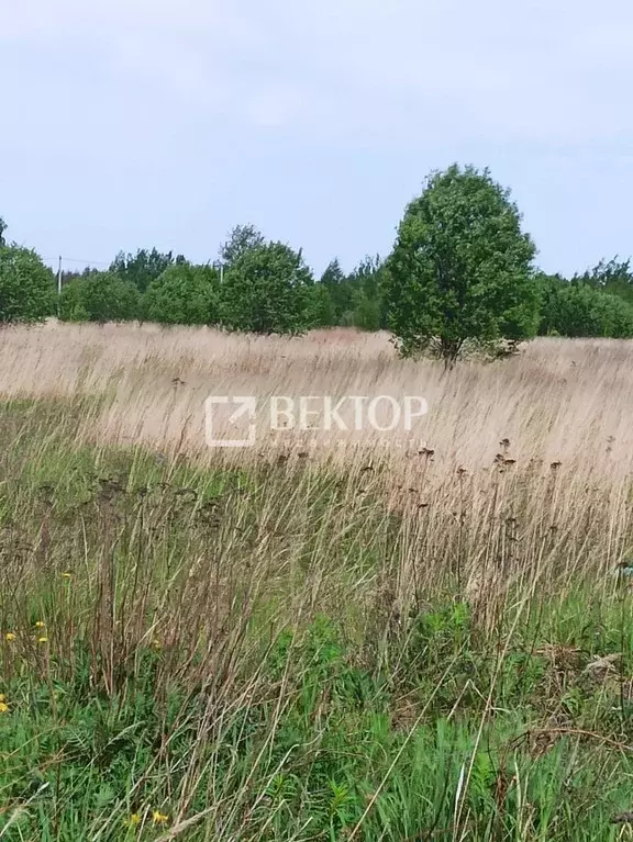 Участок в Костромская область, Кострома Соколиное Гнездо кп, 1 (7.0 ... - Фото 2