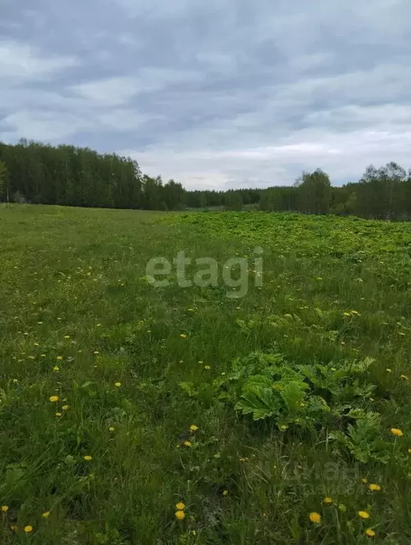 Участок в Калужская область, Малоярославецкий район, Недельное с/пос, ... - Фото 2