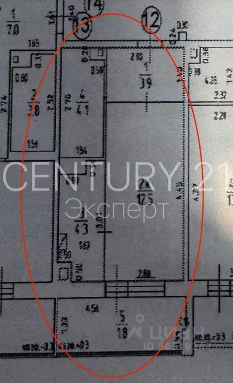 Студия Калининградская область, Светлогорск Дачная ул., 4 (24.8 м) - Фото 2