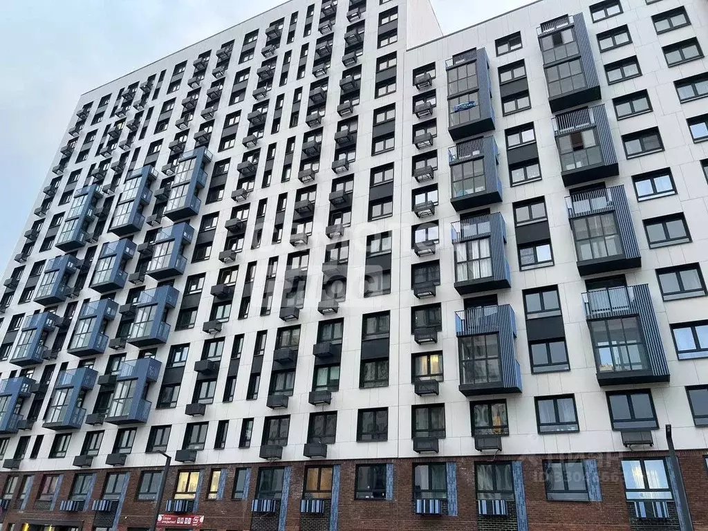 Студия Московская область, Домодедово городской округ, с. Ям ул. ... - Фото 1