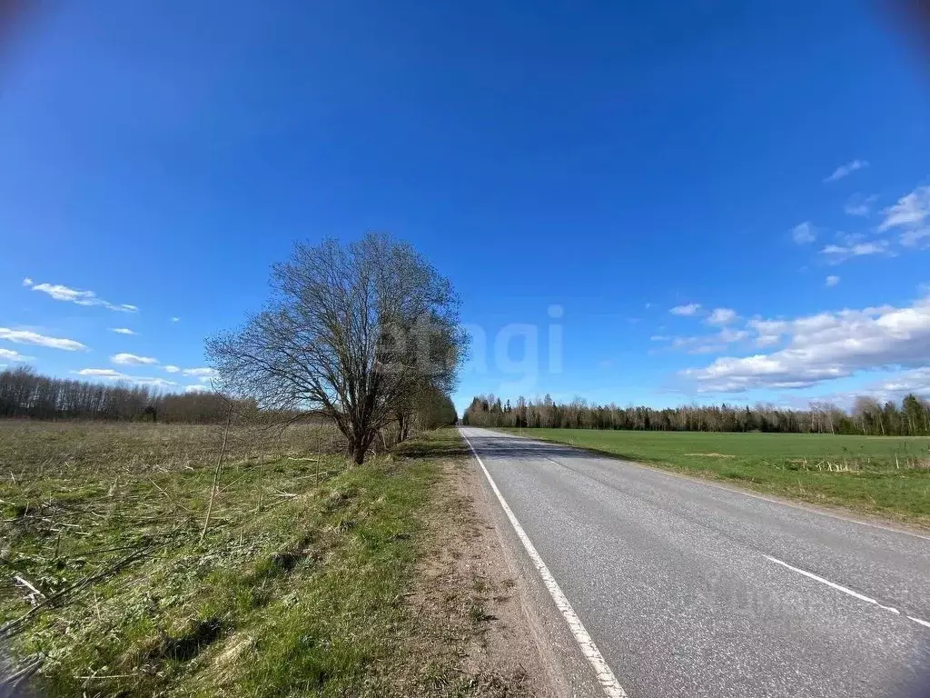 Участок в Ленинградская область, Волховский район, Бережковское с/пос, ... - Фото 1