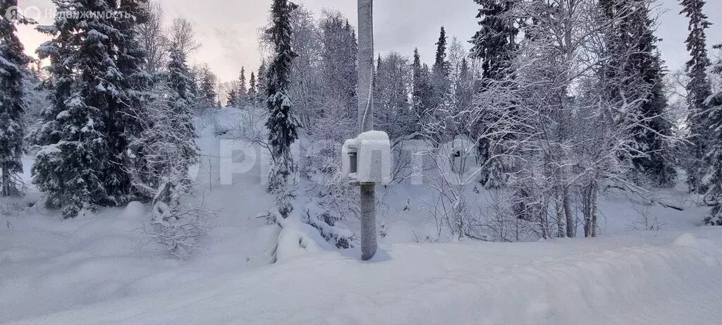 Участок в Мурманская область, Кола (7 м) - Фото 1