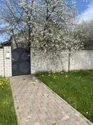 Дом в Белгородская область, Белгородский район, Новосадовское с/пос, ... - Фото 0