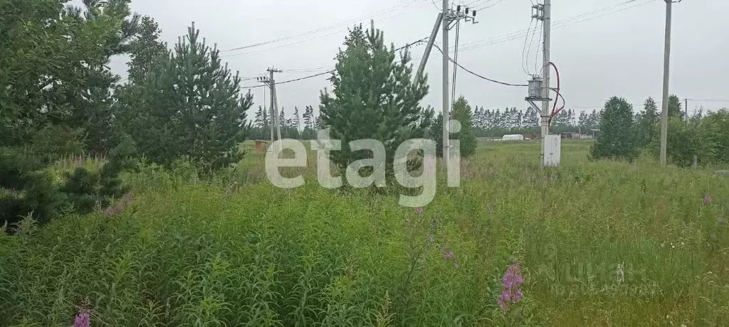 участок в красноярский край, емельяновский район, шуваевский . - Фото 0