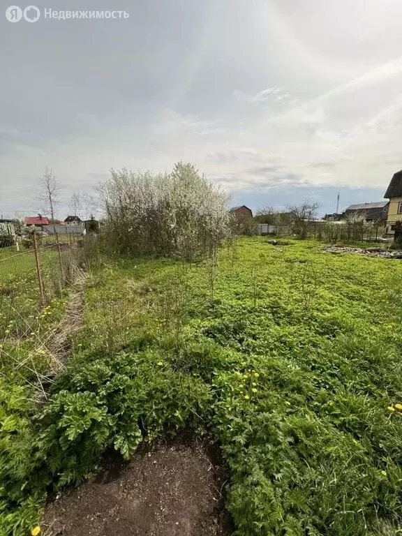 Участок в Ленинградская область, Гатчинский муниципальный округ, ... - Фото 1