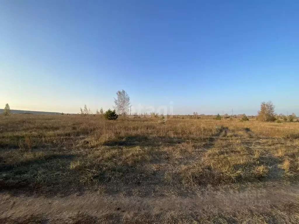 Участок в Ульяновская область, Ульяновск ул. Лебединая (8.0 сот.) - Фото 2