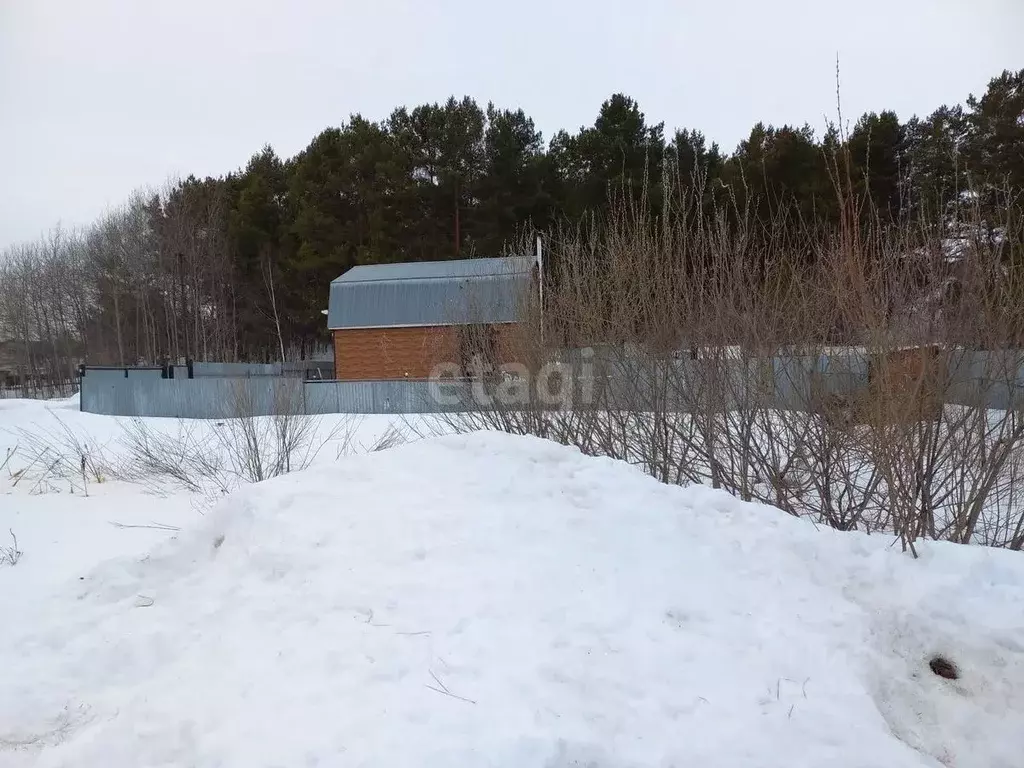 Участок в Татарстан, Казань Сад № 15 Казанского авиационного ... - Фото 1