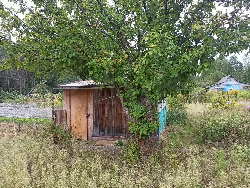 Дача 20 м на участке 4 сот. - Фото 1