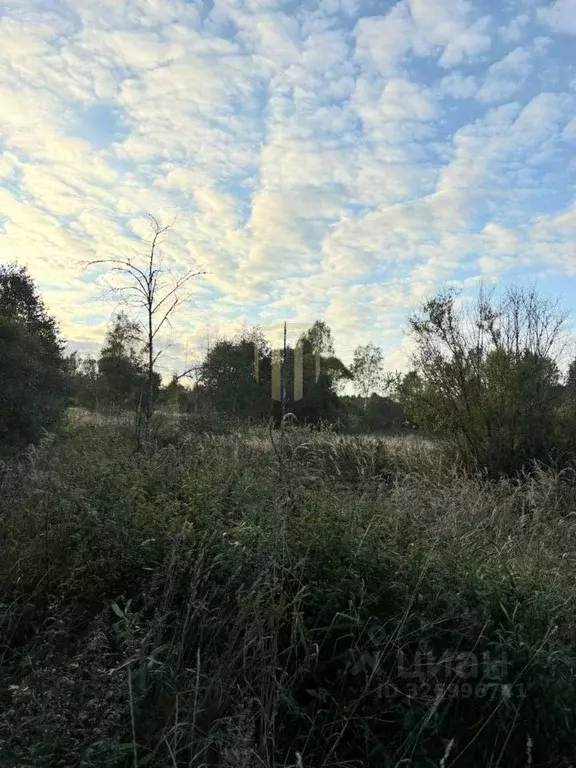 Участок в Псковская область, Себежский район, Идрица рп  (10.0 сот.) - Фото 1