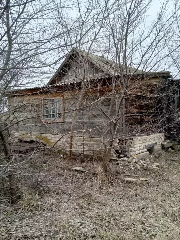 Помещение свободного назначения в Волгоградская область, с. Ольховка ... - Фото 1