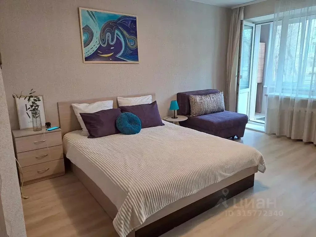 1-к кв. Приморский край, Владивосток ул. Колесника, 5 (29.0 м) - Фото 0