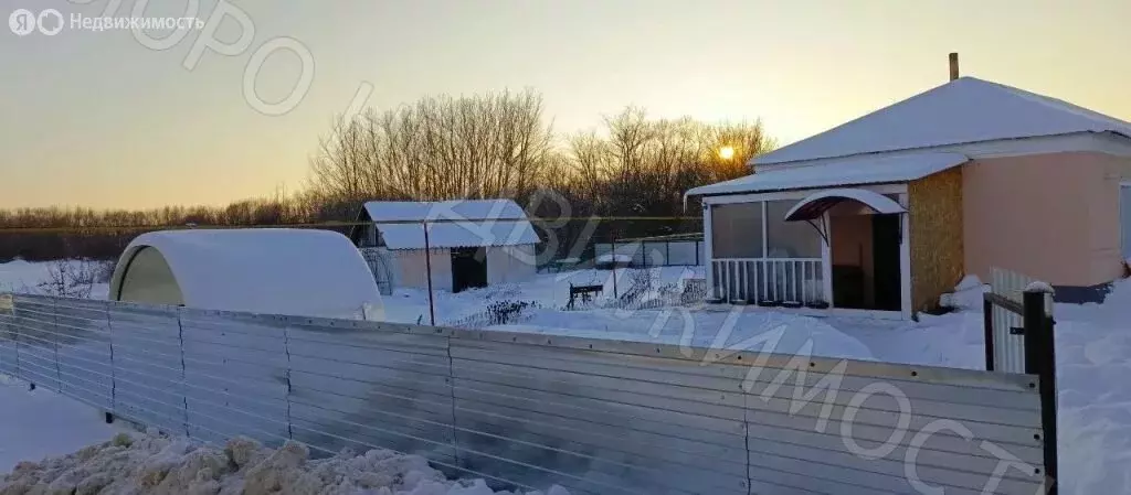 Дом в Тамбовская область, Моршанский муниципальный округ, деревня ... - Фото 1